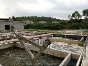 养猪场废臭水投加臭氧消毒灭菌，养猪场公用臭氧产生器(qì)