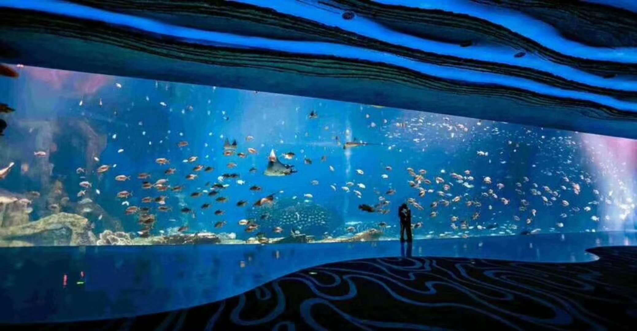 陆地(dì)馆水族馆生物养殖用水臭氧杀菌，灭藻