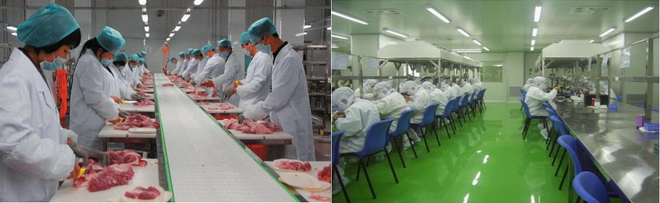 臭食物出产及包装等(děng)各关键中(zhōng)的臭氧利用