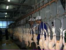 操纵食物行业企业名录