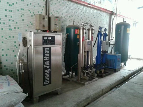 食物厂(chǎng)干净车间(jiān)消毒臭氧产生器(qì)