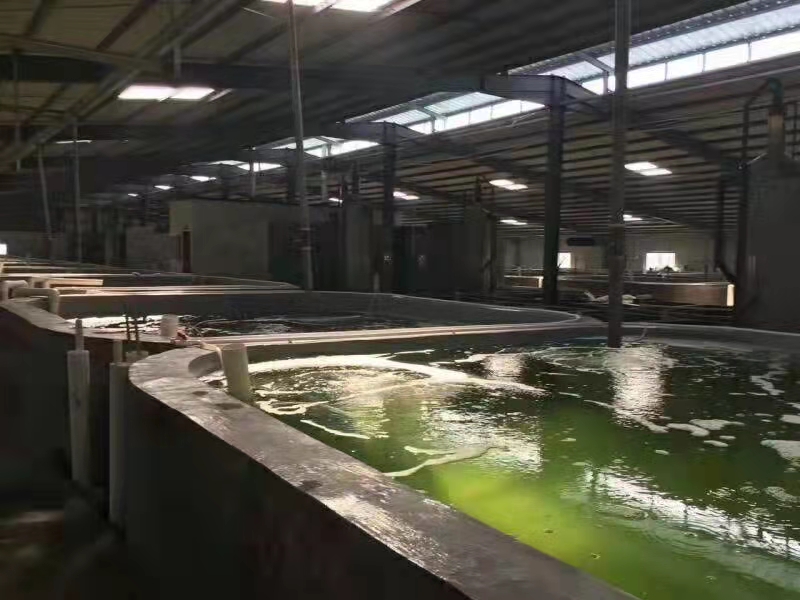 1634175947425488.jpg 水.jpg