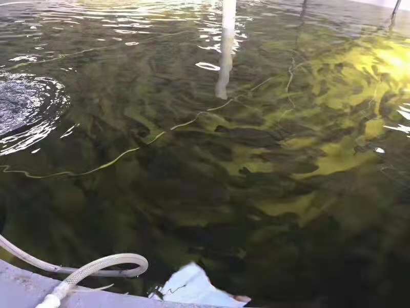 1634175965722417.jpg 水产.jpg